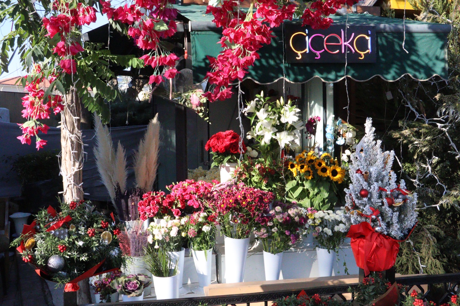 Yeni yıl çiçeği almak isteyenlerin tercihi ‘Kokina’