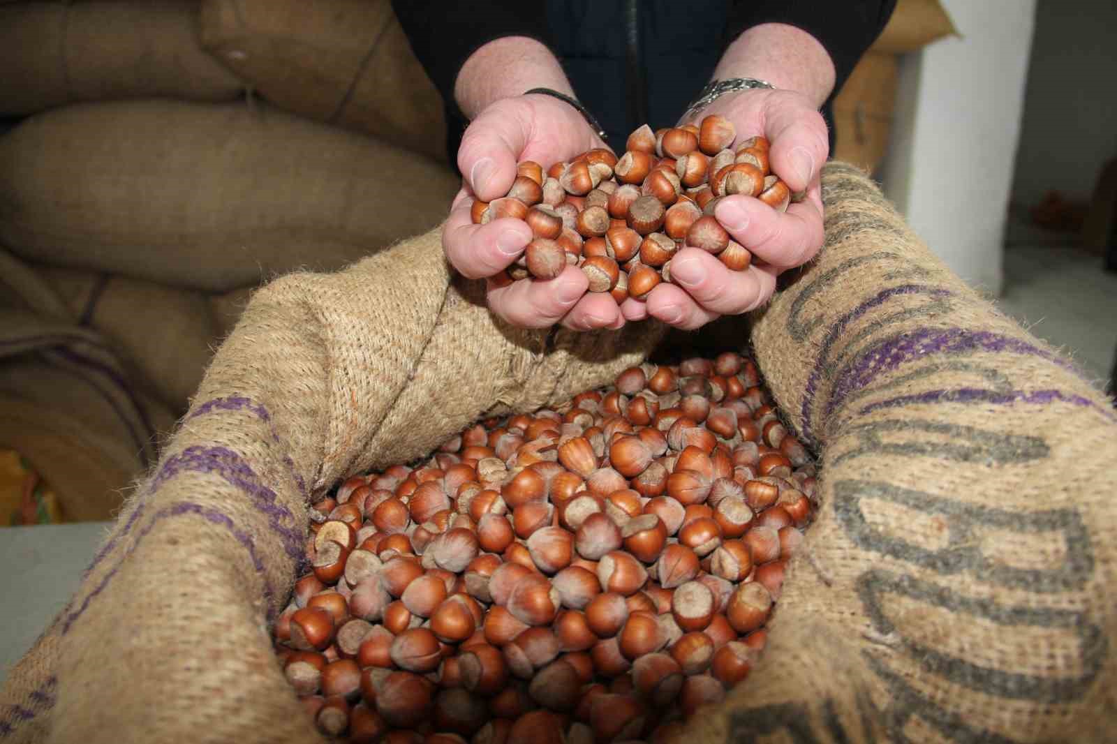 Denizli’nin yükselen ihracat ürünü fındık