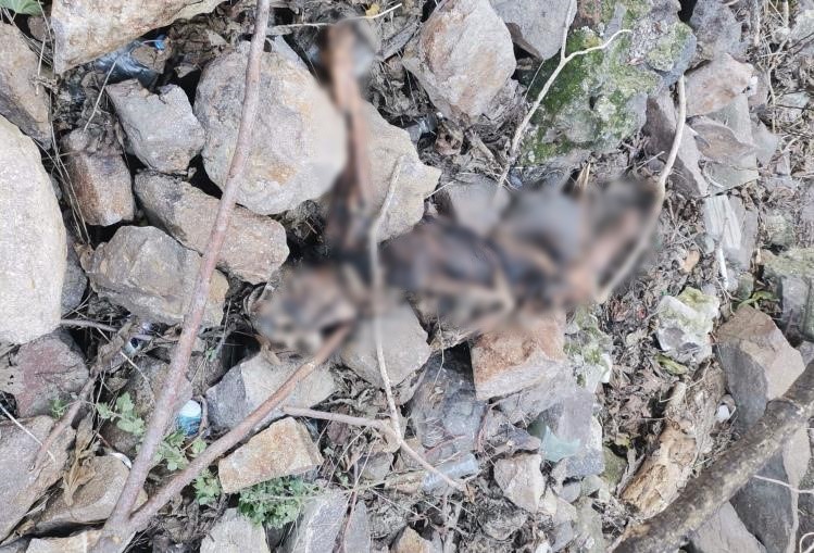 Tarihi Asansör yakınında insan kemikleri bulundu