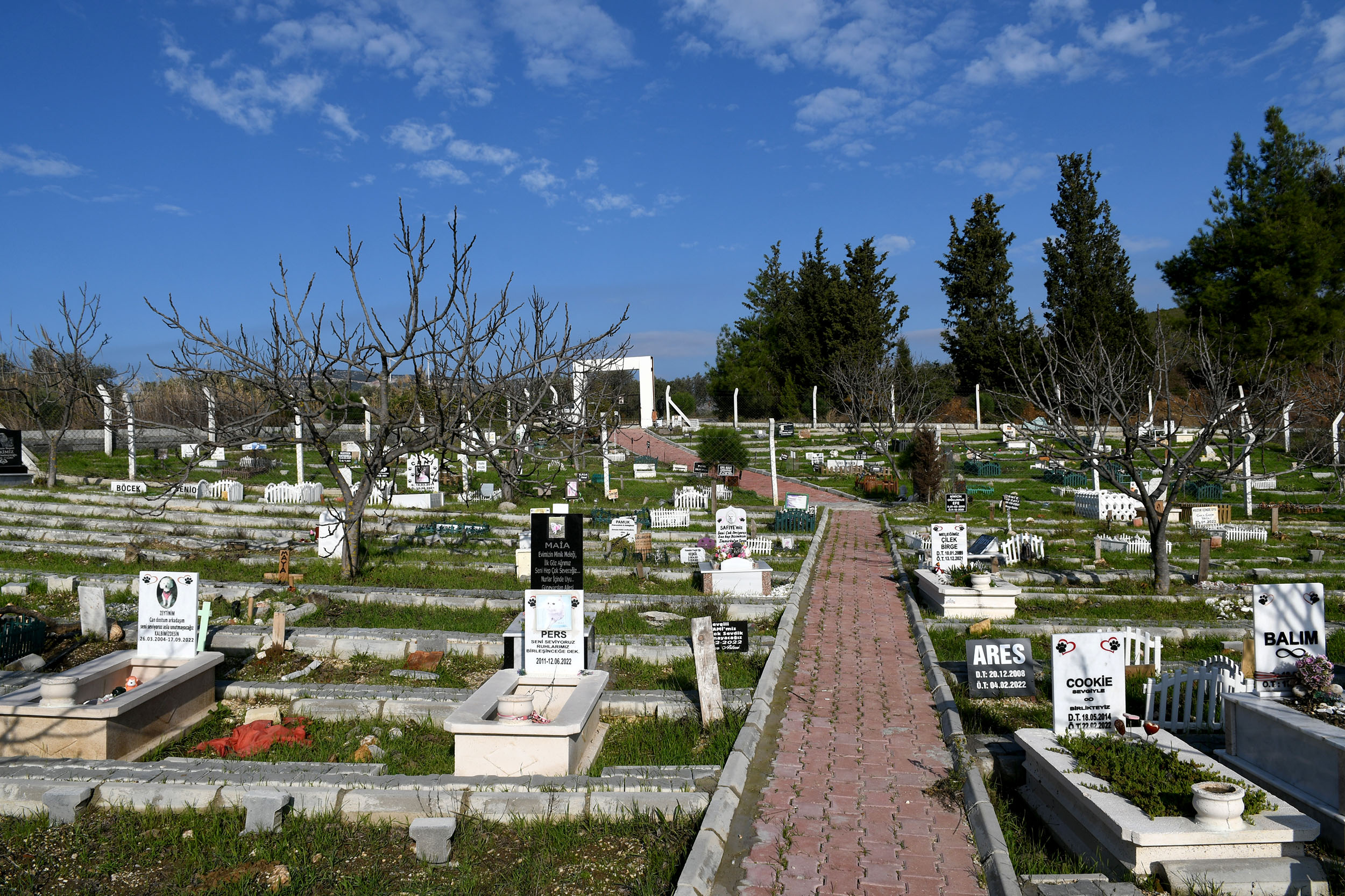 Can Dostlar Defin Alanı kente kazandırıldı