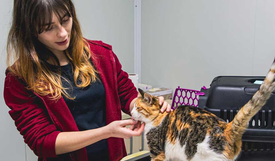 Kuşadası Belediyesi can dostlarını unutmadı