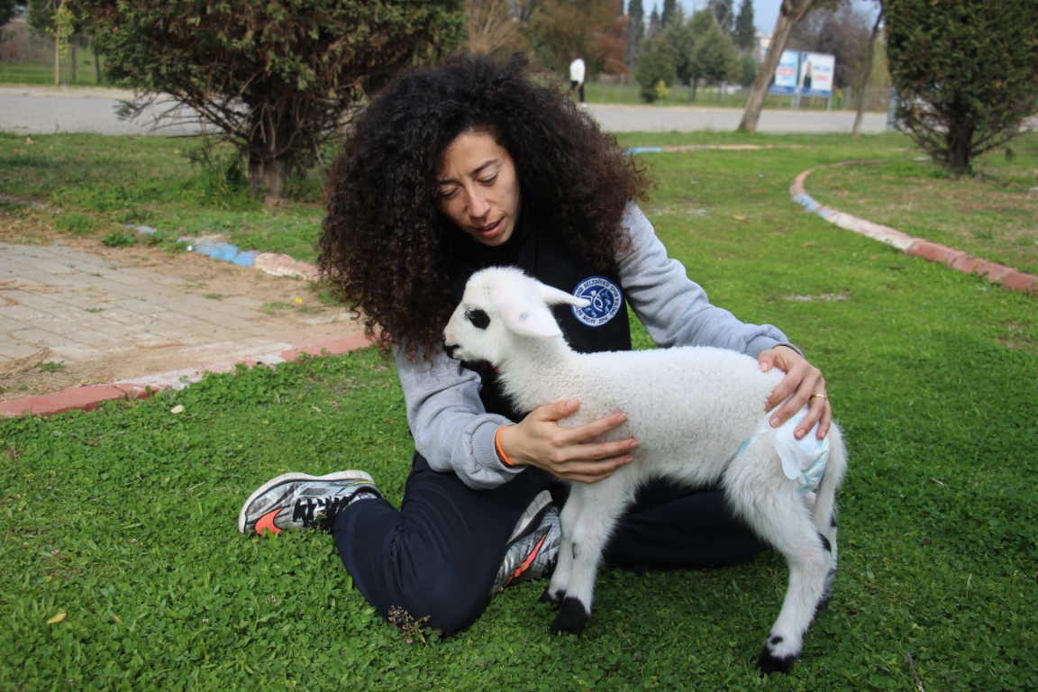 Kuzu 'Dobby' ile her gün dolu dolu geçiyor