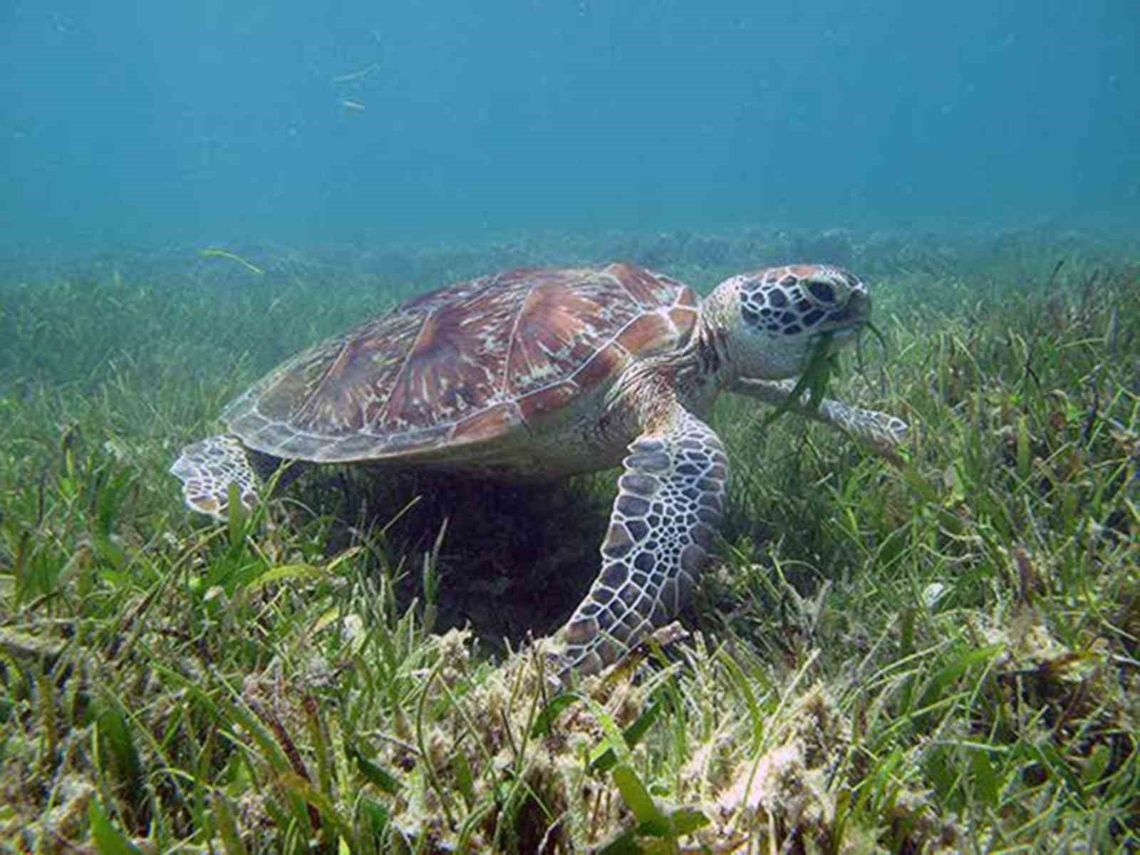 DEKAMER’den özel gün paylaşımı