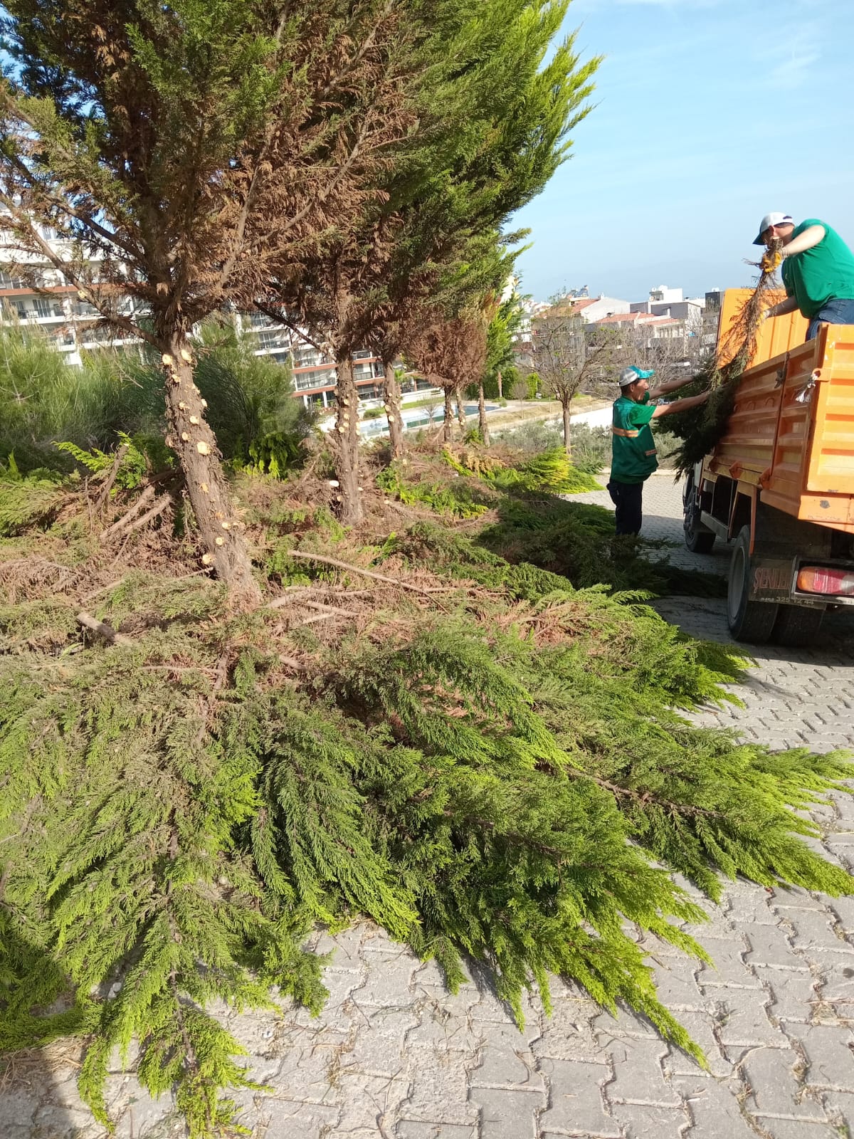 Kuşadası Belediyesi kenti bayrama hazırlıyor