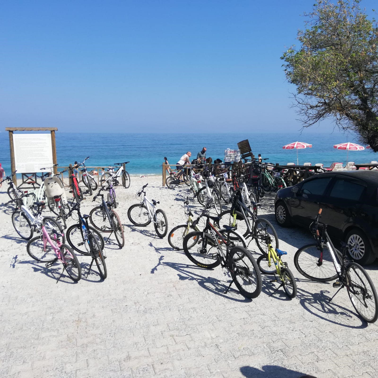 Kuşadası Dilek Yarımadası Milli Parkı’nı binlerce kişi ziyaret etti