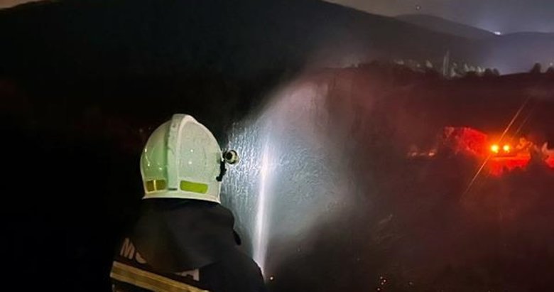 Milas'ta başlayan yangın ormana sıçradı