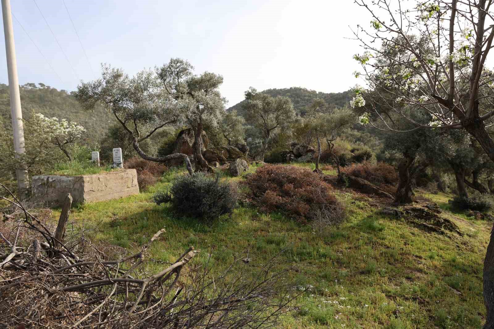 Aydın'da bu mezarlıklar görenleri şaşkına çeviriyor