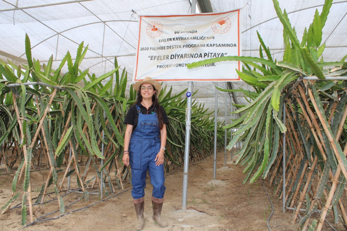 Plaza hayatını bıraktı, huzuru Aydın’da buldu