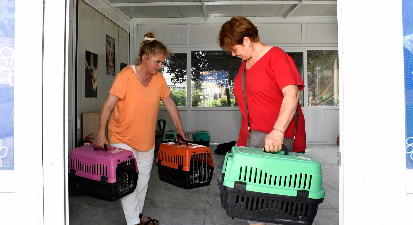 Kedi Kısırlaştırma Merkezi'ne büyük ilgi!