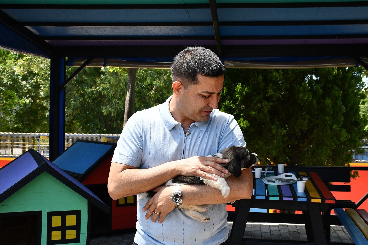 Başkan Ömer Günel'den gündeme gelen sokak hayvanları yasa tasarısına tepki