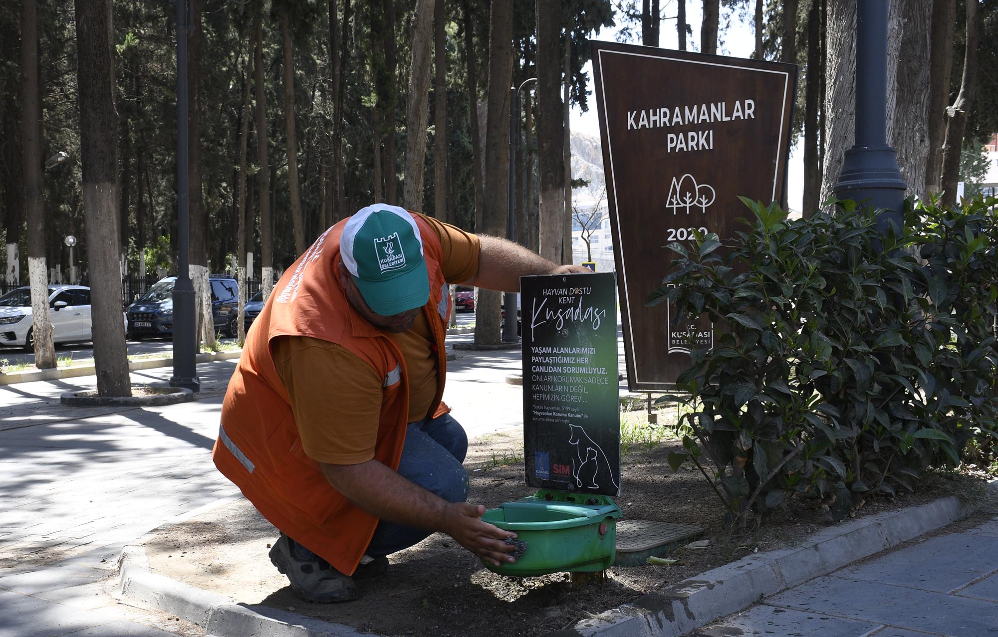 Kuşadası'nda sokak canları sahipsiz değil