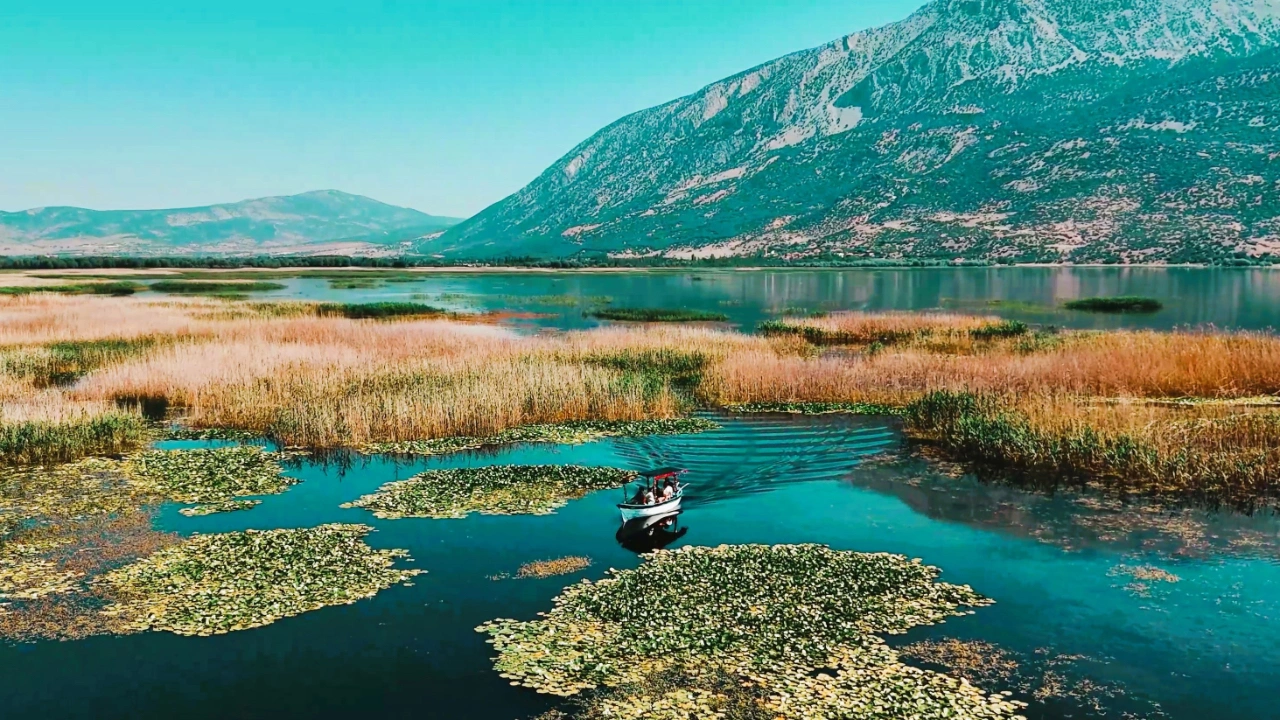 Türkiye’nin en büyük nilüfer tarlasında renklerin buluşması mest etti