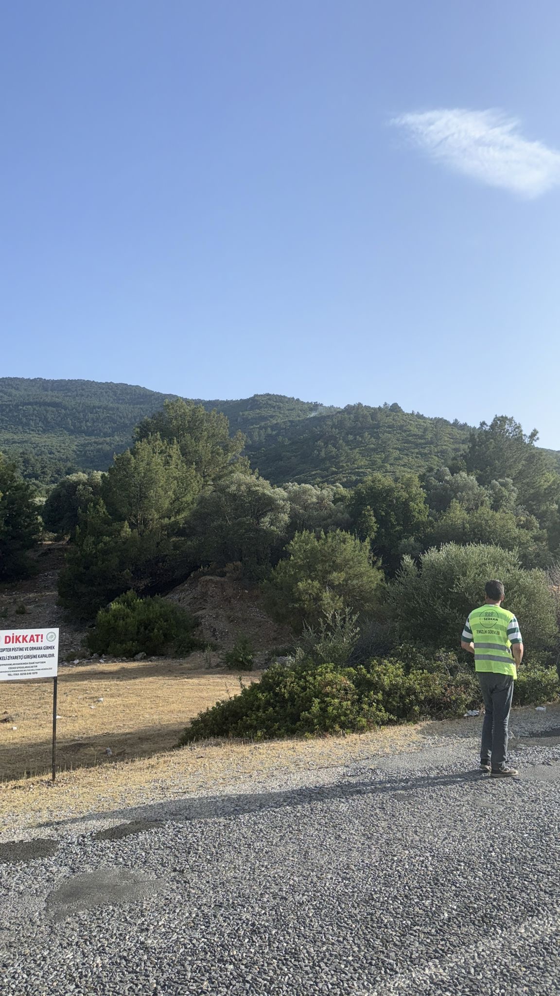 Milli Park'ta orman yangını faciasından kıl payı dönüldü