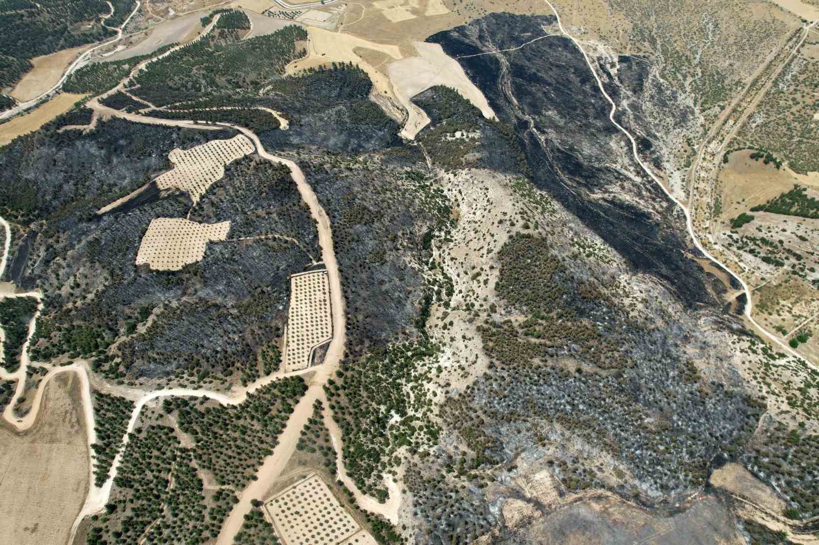 Denizli'de 35 hektarlık alan yangında zarar gördü