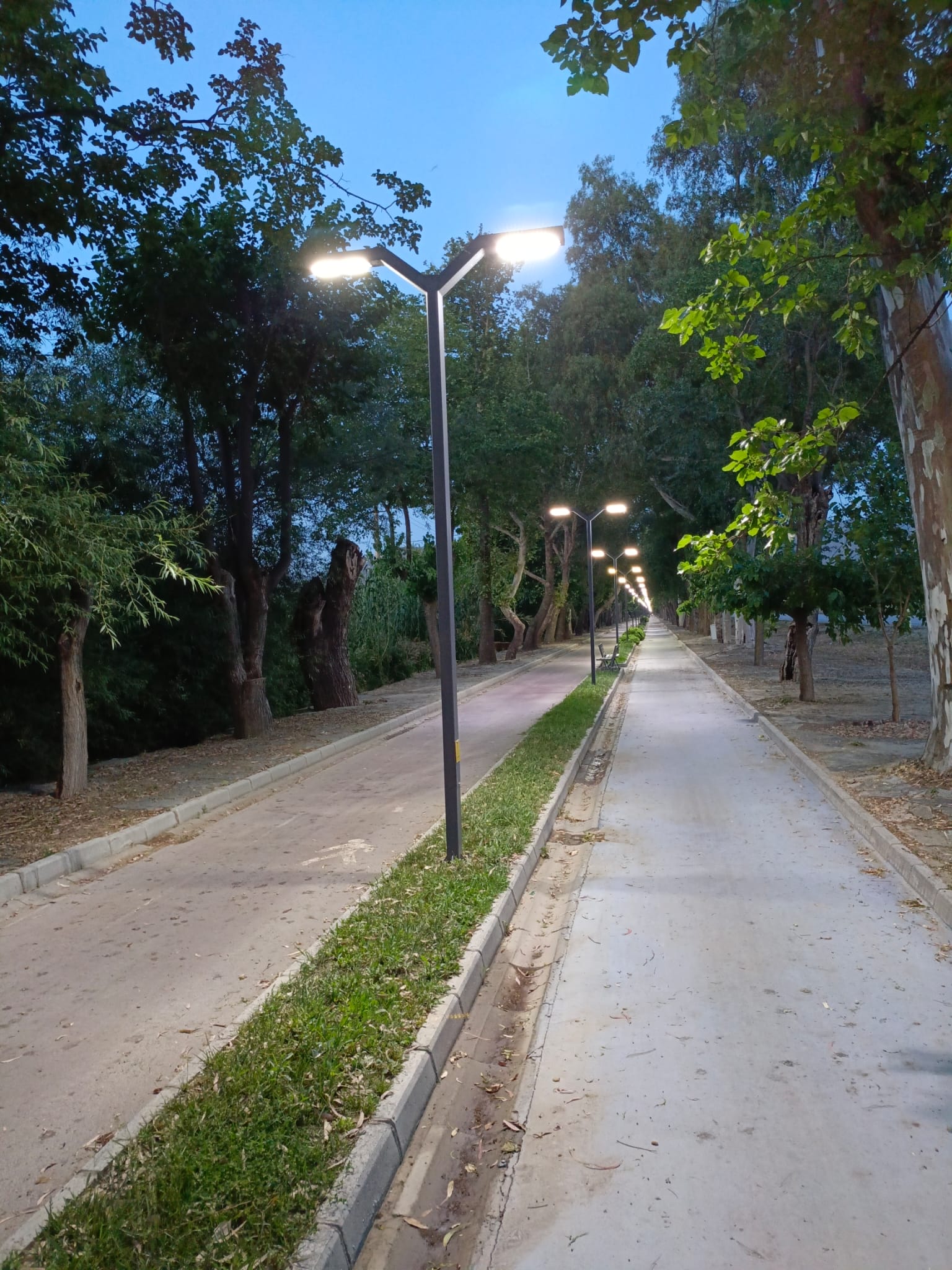 Selçuk'ta meşhur Dutlu Yol'un aydınlatma direkleri yenilendi