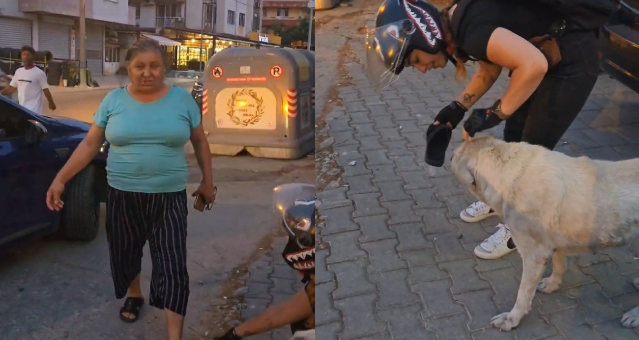 Sevimli köpek, parka dinlenmeye gelen kadının terliğini çaldı