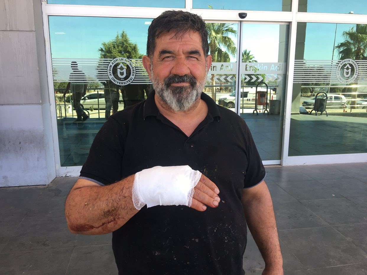 Aydın’da acemi kasaplar hastanelik oldu