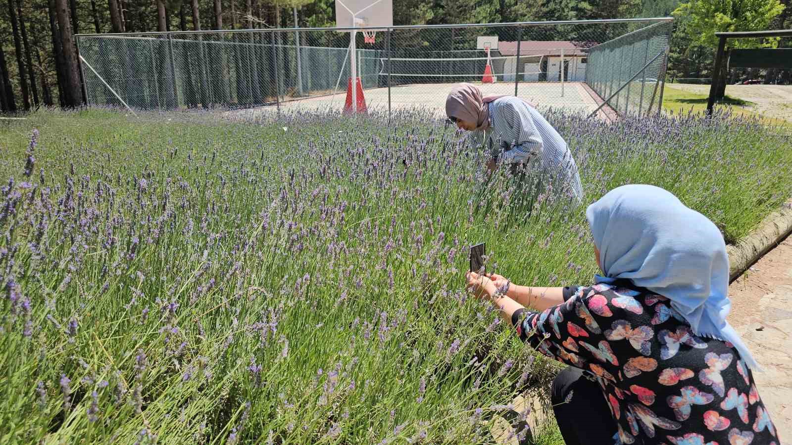 Aydın’ın Uludağ’ı Belenova Yaylası güzelliği ile mest ediyor