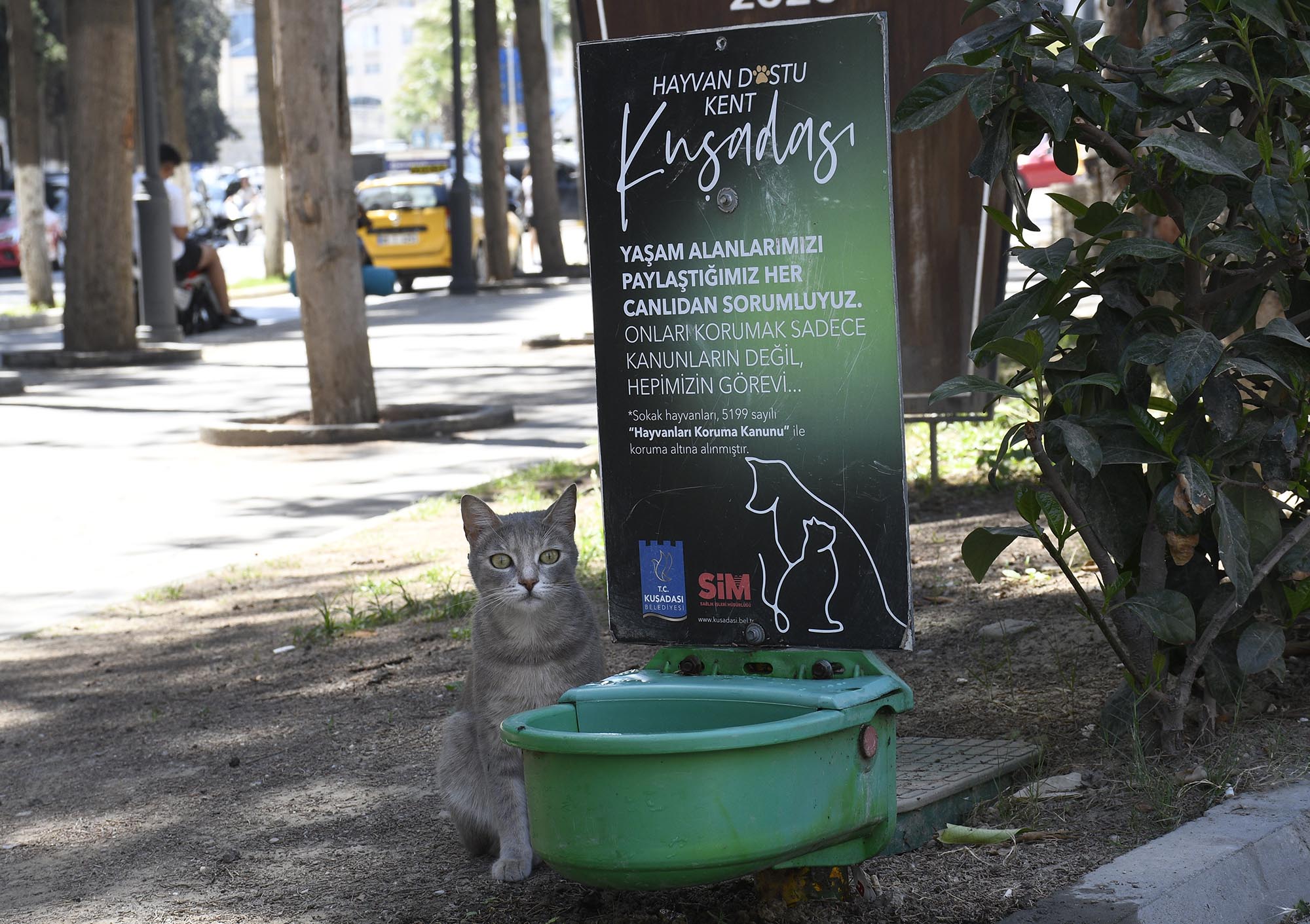 Başkan Ömer Günel: Bu Dünya Hepimizin 