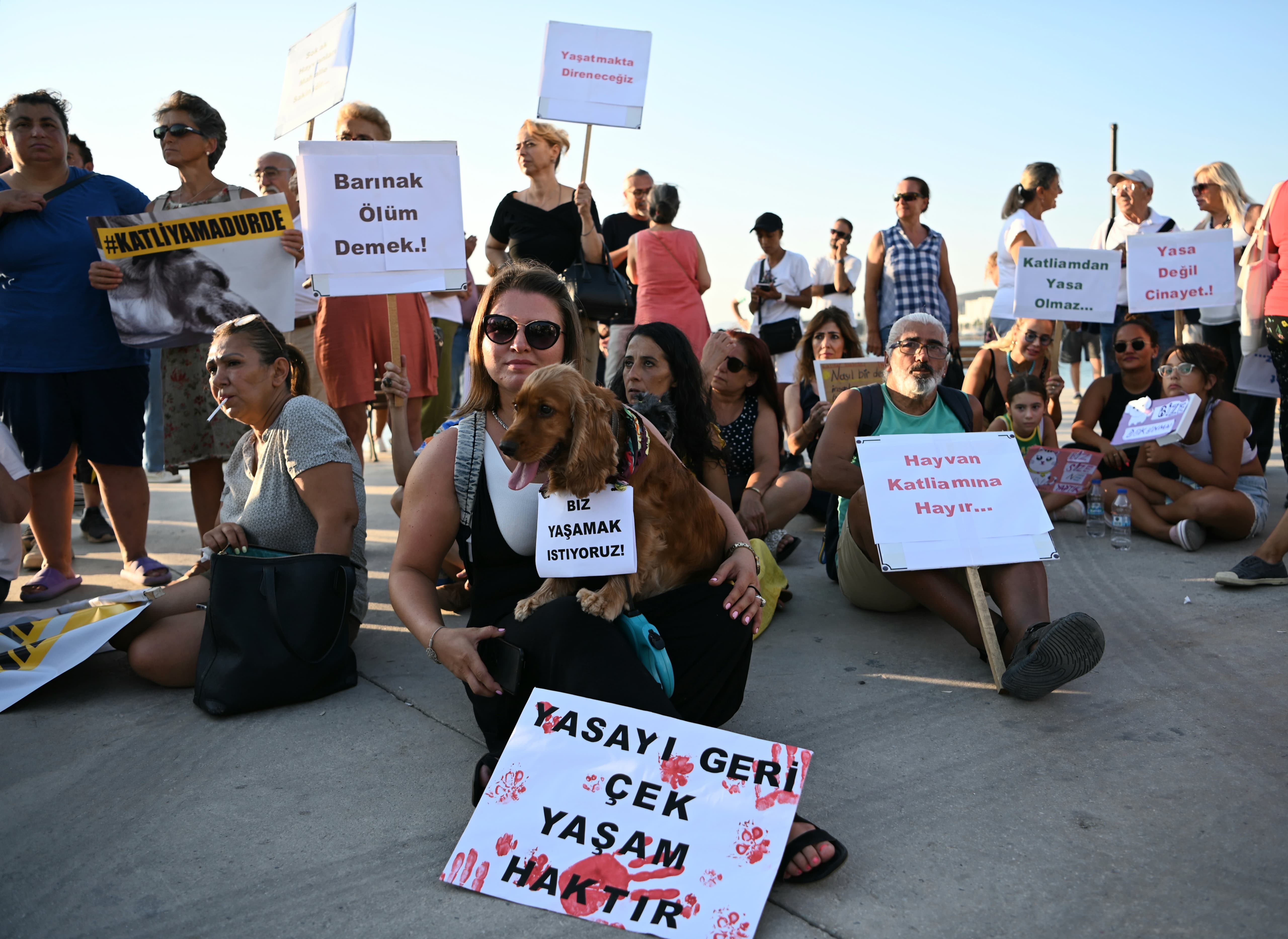 Kuşadası sokak hayvanları için tek ses ve tek yürek oldu! 'YASAYI GERİ ÇEK'