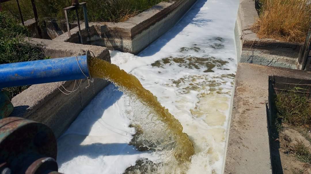 Kuşadası EKODOSD Başkanı Bahattin Sürücü'nden Büyük Menderes Nehri'ne Çare Arayışı