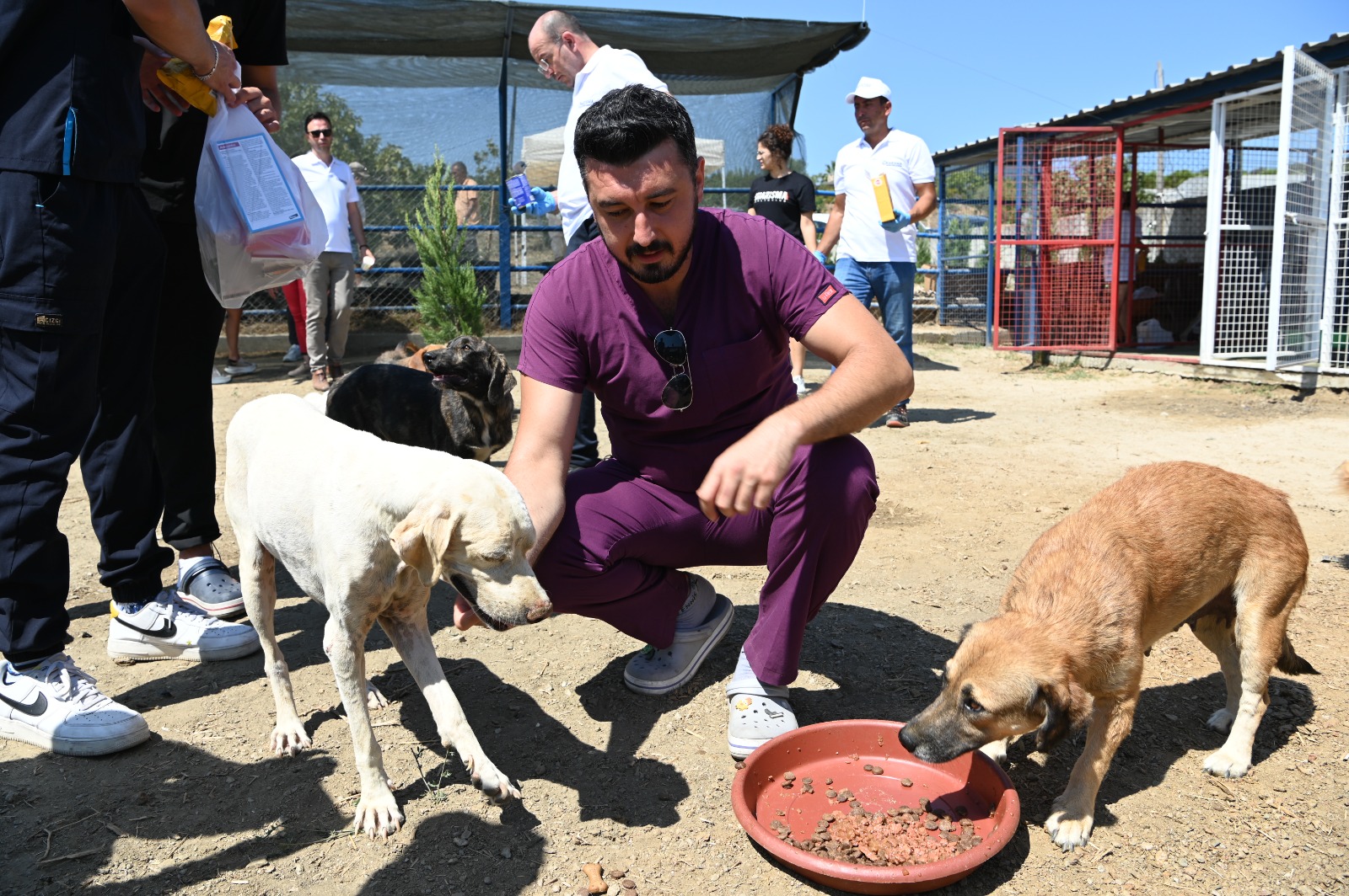 5 Yıldızlı Barınak Kaçak Yapı Mı?