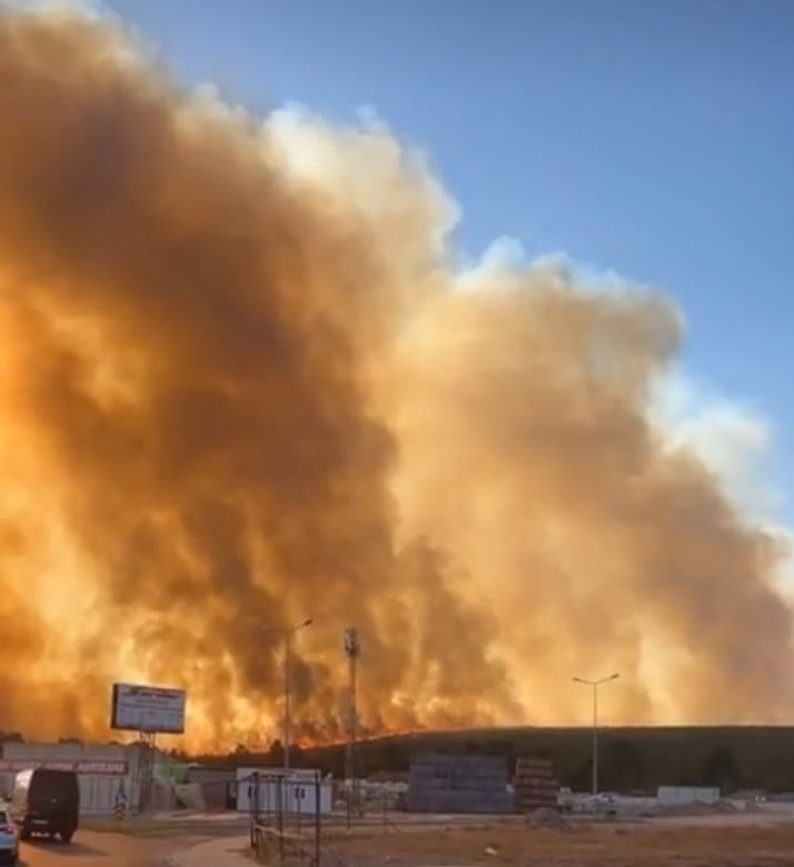 Didim’de makilik yangını orman sıçradı