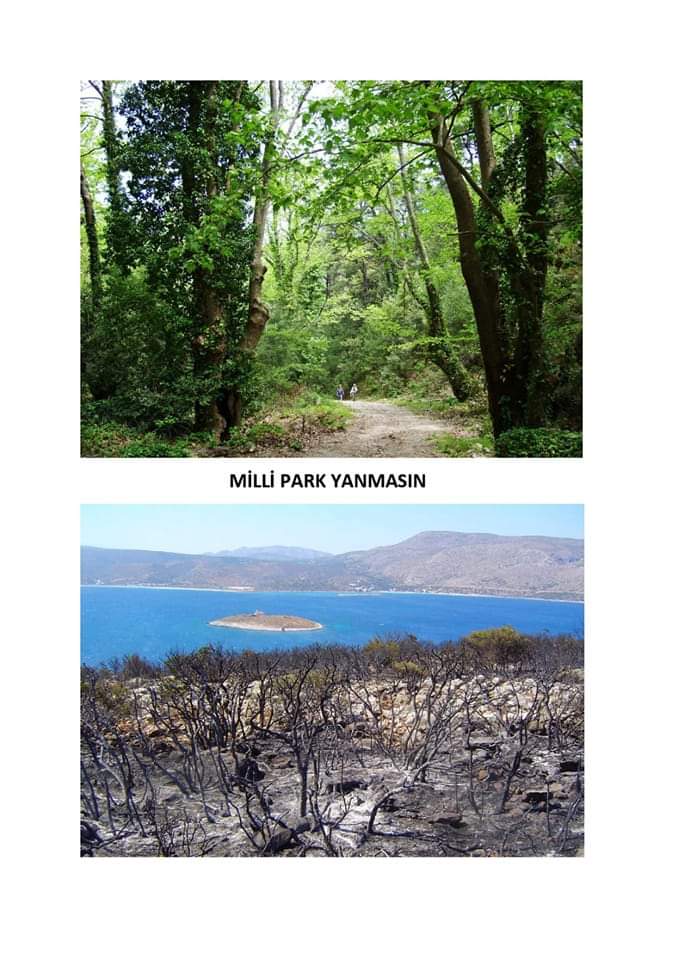 Dilek Yarımadası Büyük Menderes Deltası Milli Parkı Tehlikede!