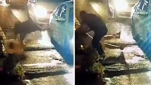 Minik Yürek Atışını Yitirdi: Hamit'in Yaşam Savaşındaki Acı Son