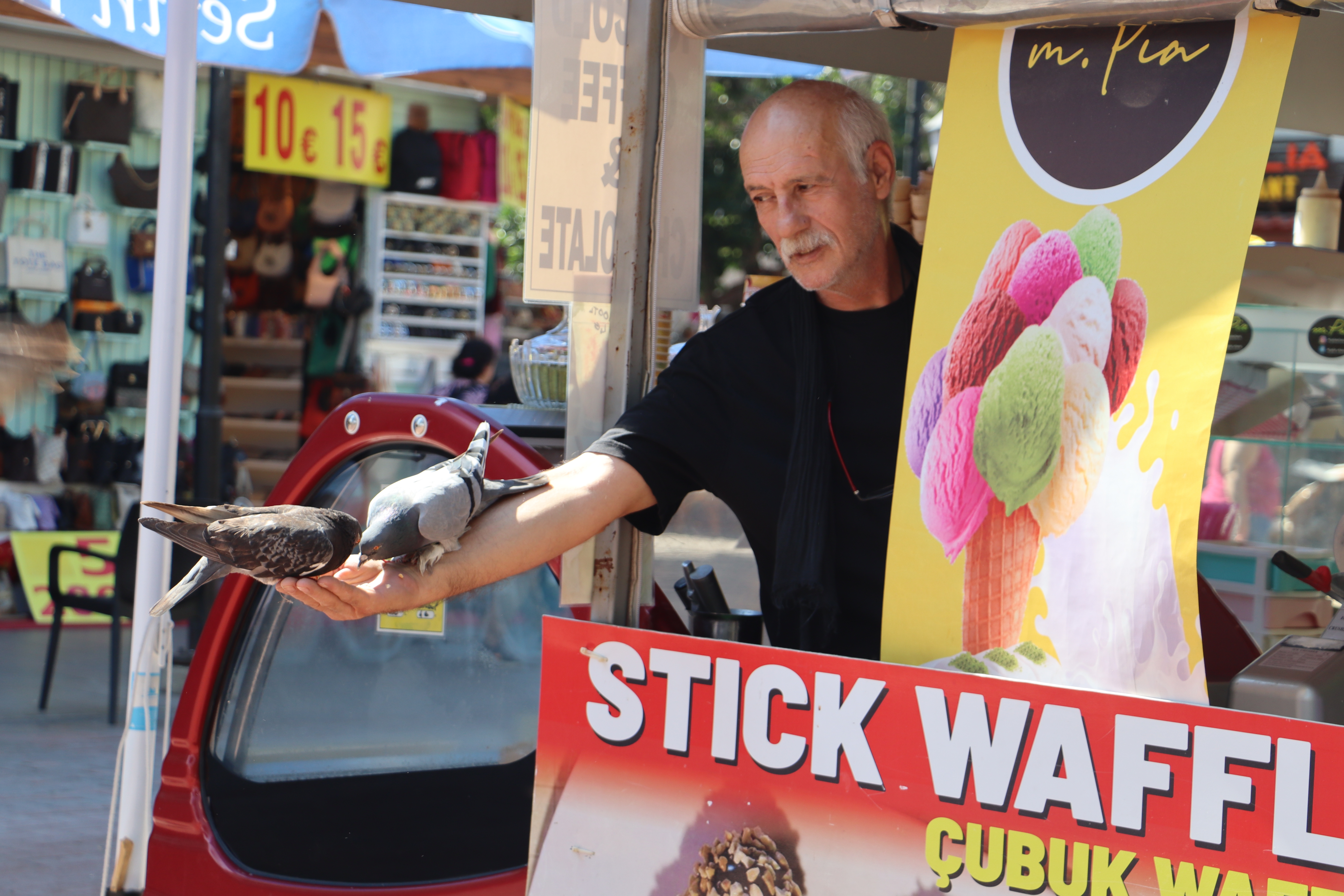 Kuşadası'nda İnsan ve Güvercin Dostluğu: Bir Görsel Şölen