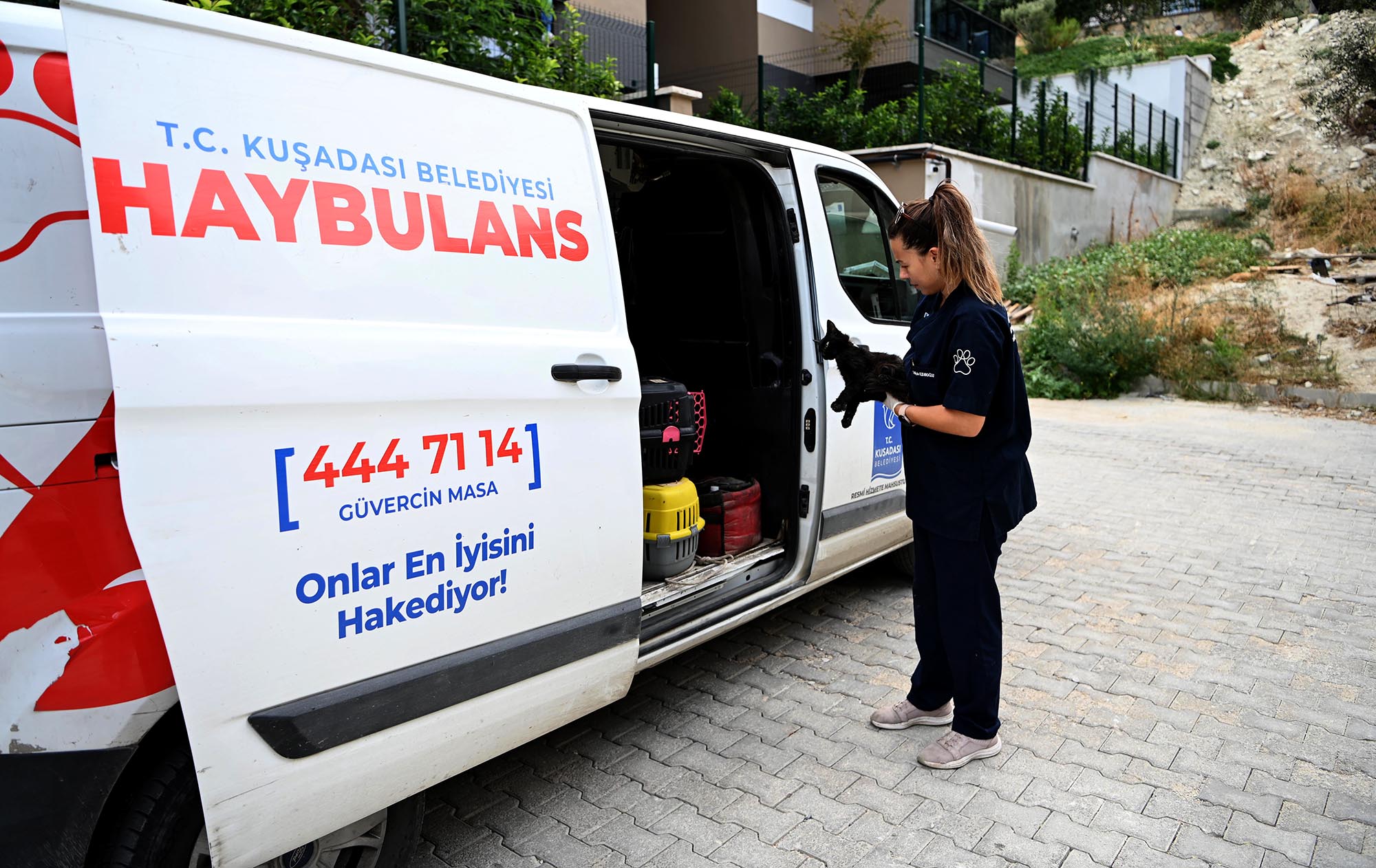 Sokak Hayvanlarının Yaşama Tutunma Umudu: Haybulans Araçları