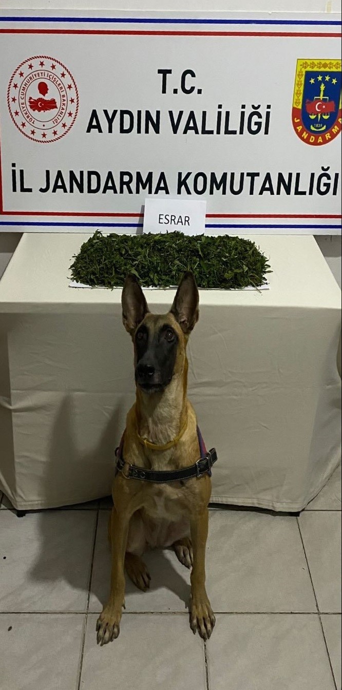 Aydın'da Uyuşturucu Operasyonu: 1 Kilo Esrar Ele Geçirildi