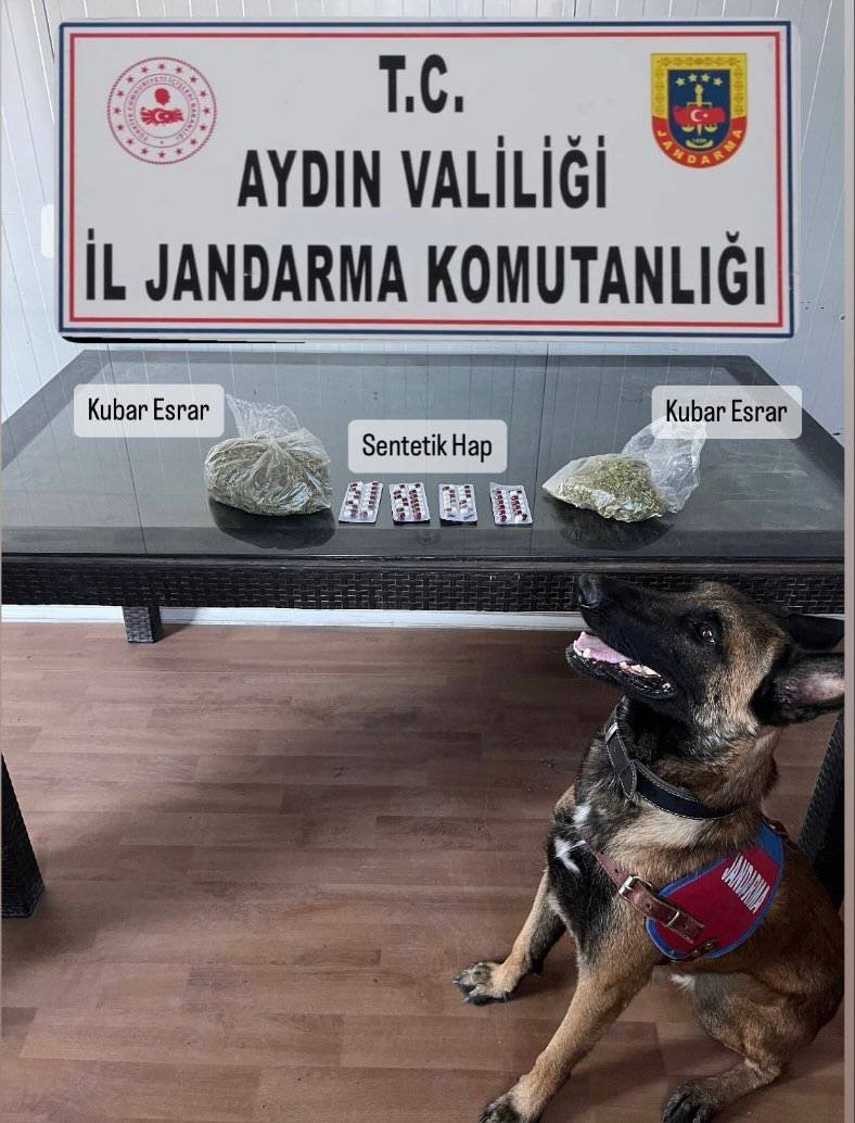 Söke'de Narkotik Köpek Delta Büyük Bir Operasyona İmza Attı!