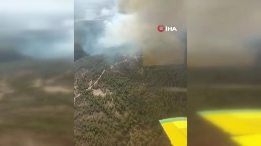 İzmir Foça’da yangın
