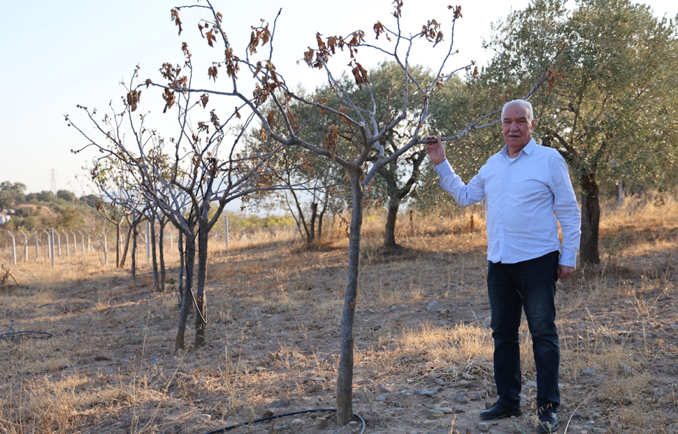 Ege’de kuraklık alarmı