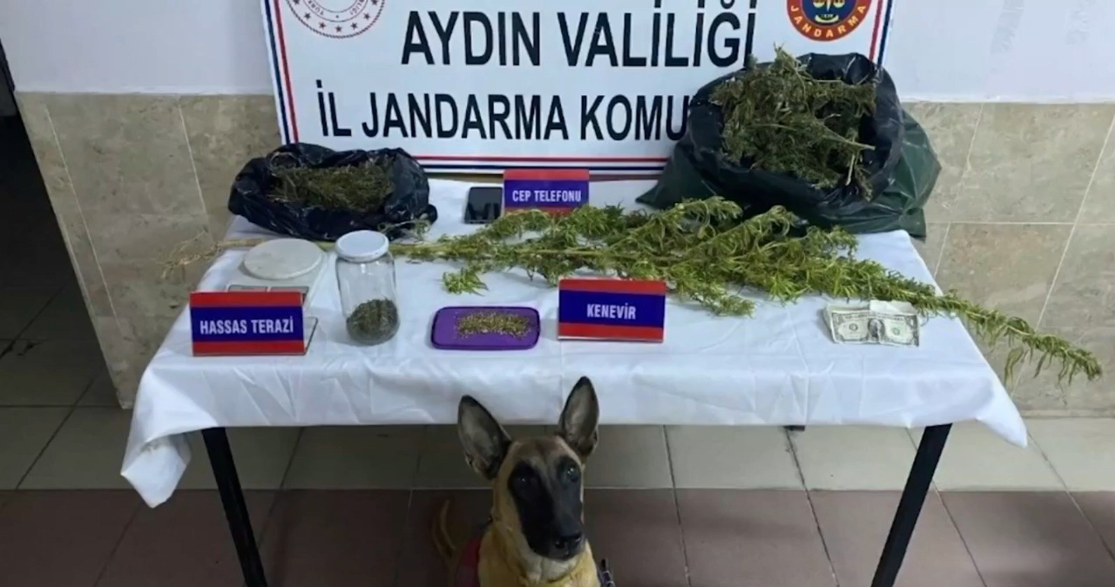 Narkoçelik-46 operasyonunda Aydın'da 2 sokak satıcısı yakalandı