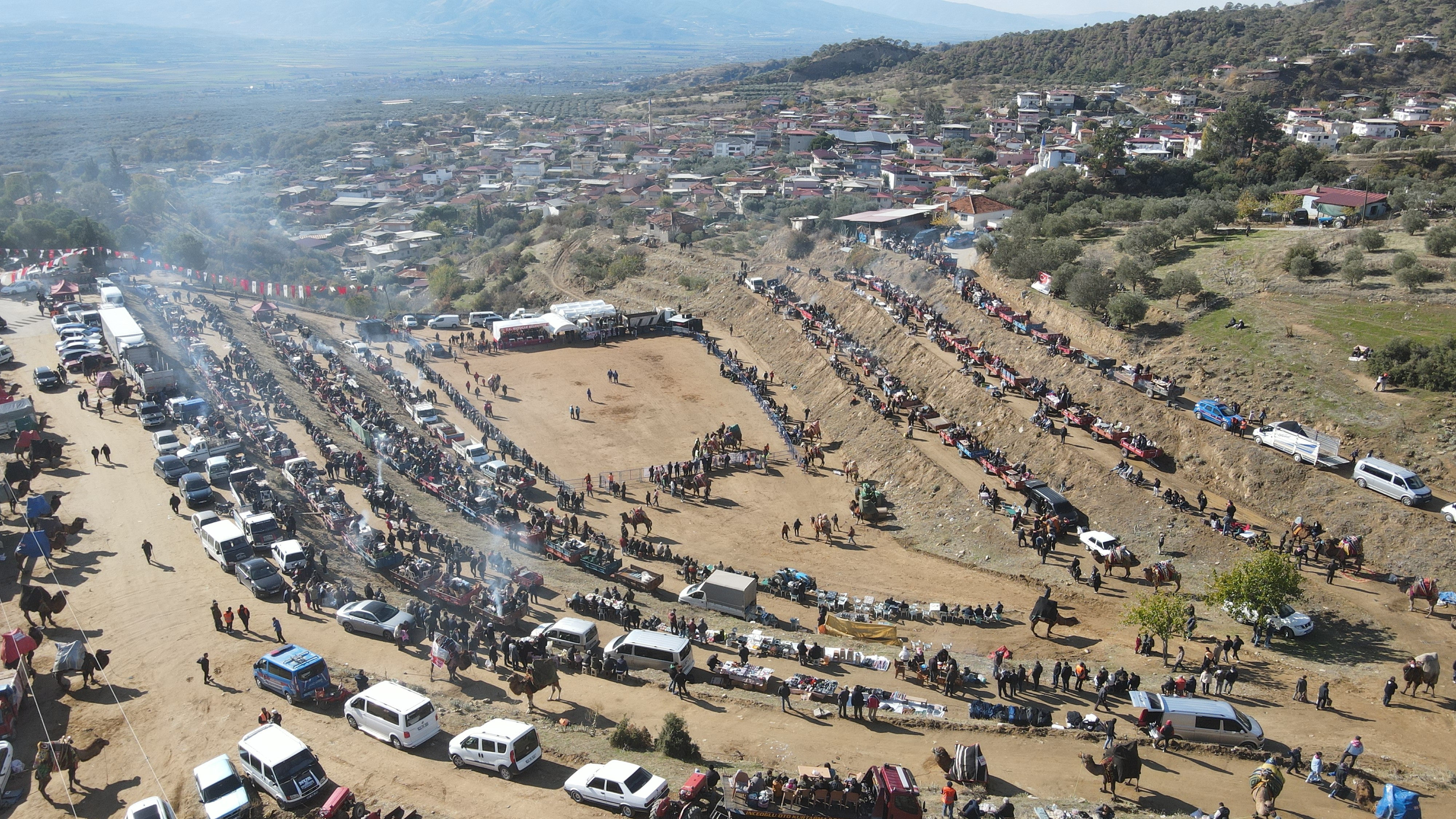 Kuyucak'ta pehlivan develer şampiyonluk için güreşti
