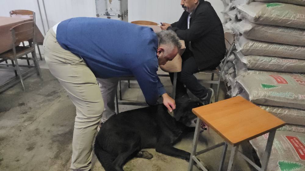 Veteriner kliniği alevlere teslim oldu