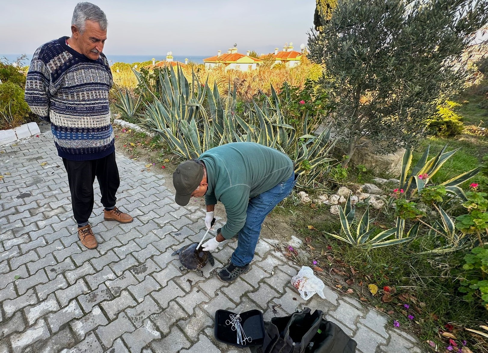 Başkan Sürücü, deniz kaplumbağalarına dikkat çekti