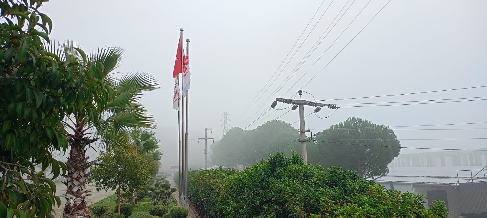 Aydınlılar güne sisle uyandı