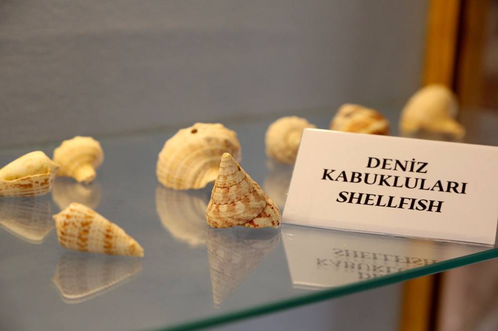 Kuşadası'nda Deniz Ticaret Tarihi Müzesi'ne yoğun ilgi