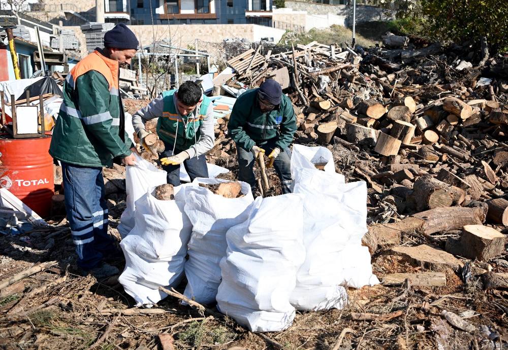 Kuşadası'nda ağaç atıkları ihtiyaç sahipleri için yakacağa dönüşüyor