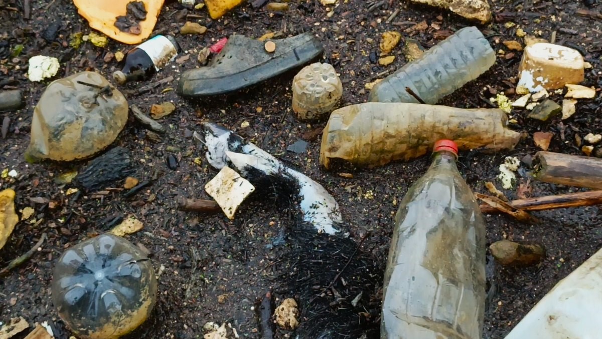 Taşköprü'deki çöp sorunu, tarihi yapıyı tehdit ediyor