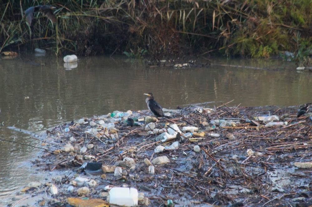 Taşköprü'deki çöp sorunu, tarihi yapıyı tehdit ediyor