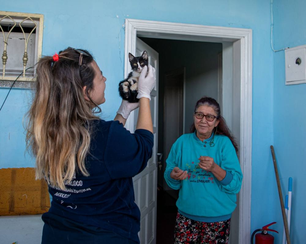 Kuşadası Belediyesi’nin Haybulans araçları 2024’te can dostlara umut oldu