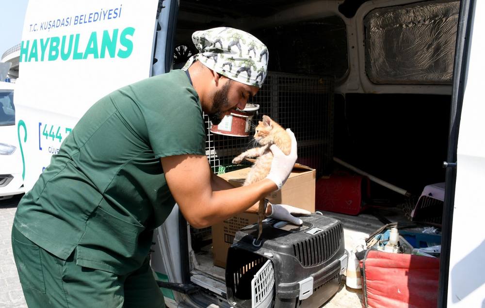 Kuşadası Belediyesi’nin Haybulans araçları 2024’te can dostlara umut oldu
