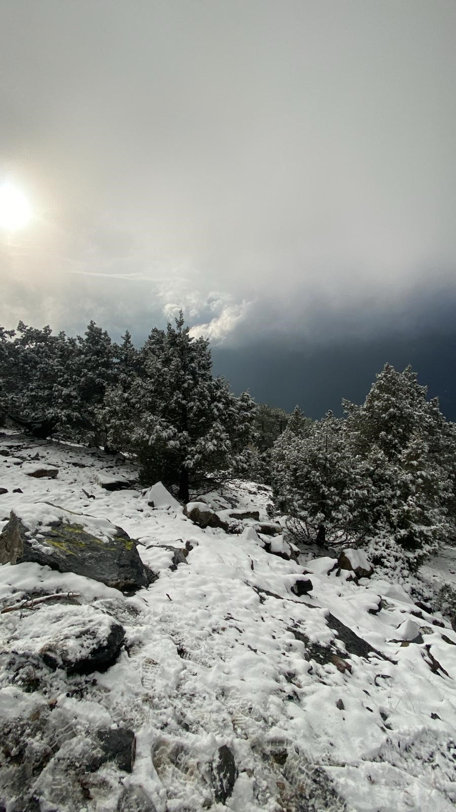 Aydın'ın Paşa Yaylası beyaza büründü, vatandaşlar akın etti