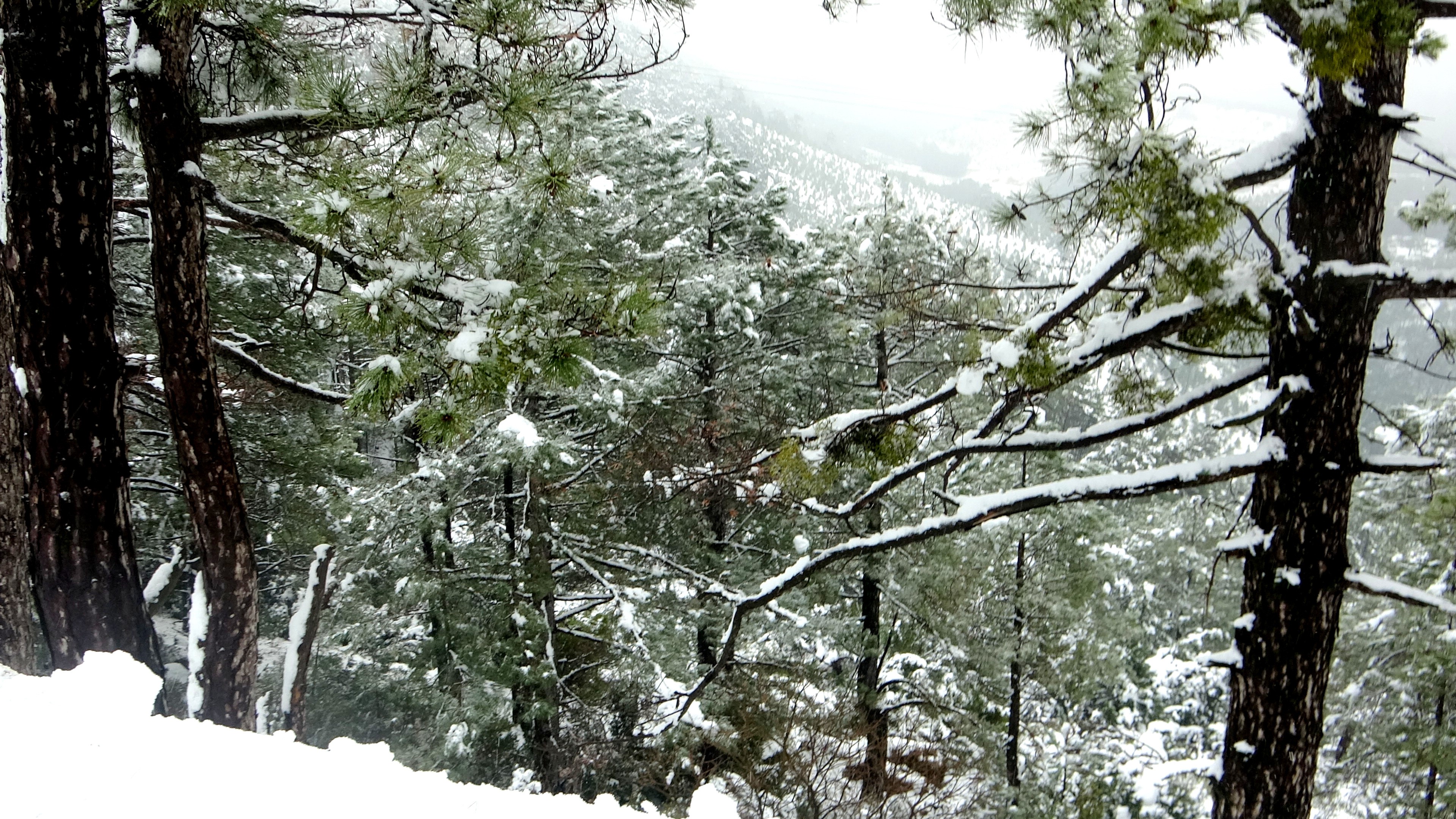 Ege’de kartpostallık görüntüler