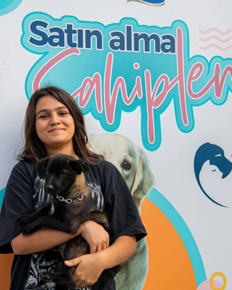 Kuşadası Belediyesi 2024 yılında 526 can dostu sıcak yuvaya kavuşturdu