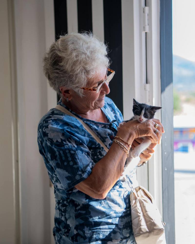 Kuşadası Belediyesi 2024 yılında 526 can dostu sıcak yuvaya kavuşturdu